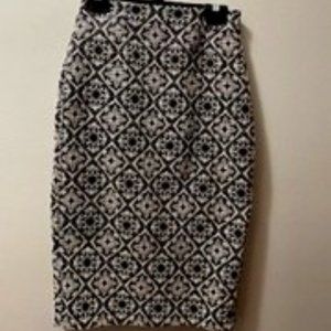 Zara Basic Skirt (XS)